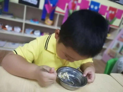 美食每刻 的守護 長安愛迪幼兒園食品安全宣傳周